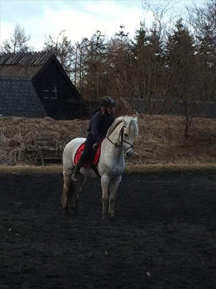 Anden særlig race milan - opvarming til spring undervisning billede 10