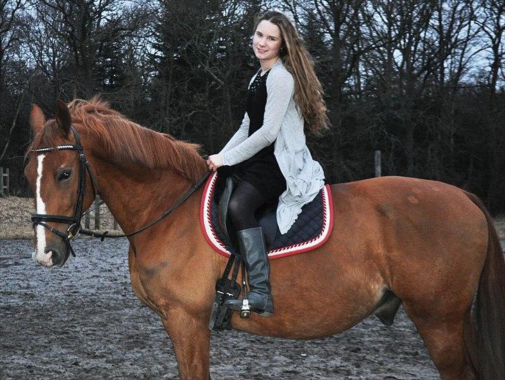 Frederiksborg Mercur - Solgt billede 15