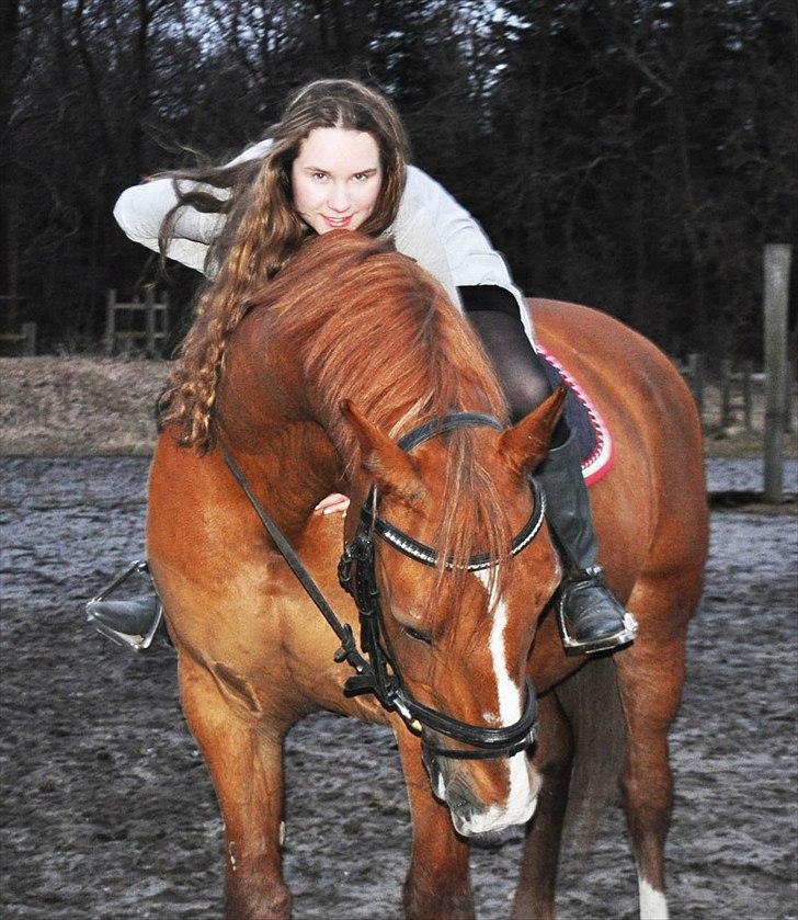 Frederiksborg Mercur - Solgt billede 16