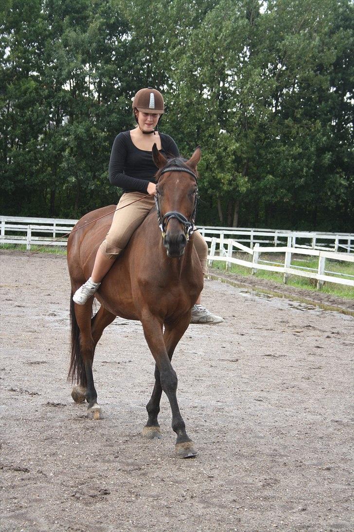 Fuldblod (XX) Tramal *Soulmate* - vore "fine" schenkel vigning :) billede 4