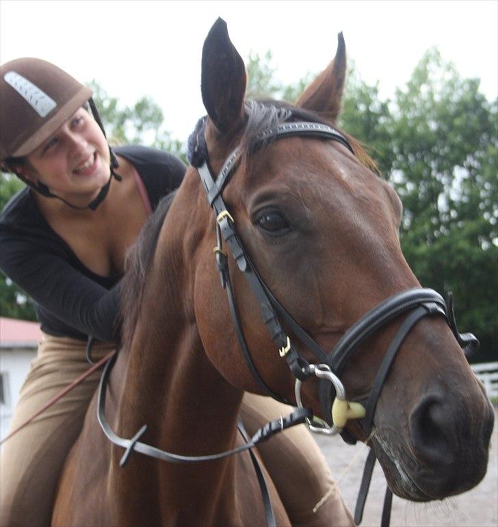 Fuldblod (XX) Tramal *Soulmate* - mit yndlingsbillede :) billede 5