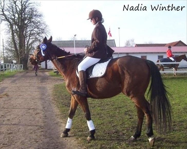 Fuldblod (XX) Tramal *Soulmate* - vores første stævne sammen :) 2. plads :) billede 7