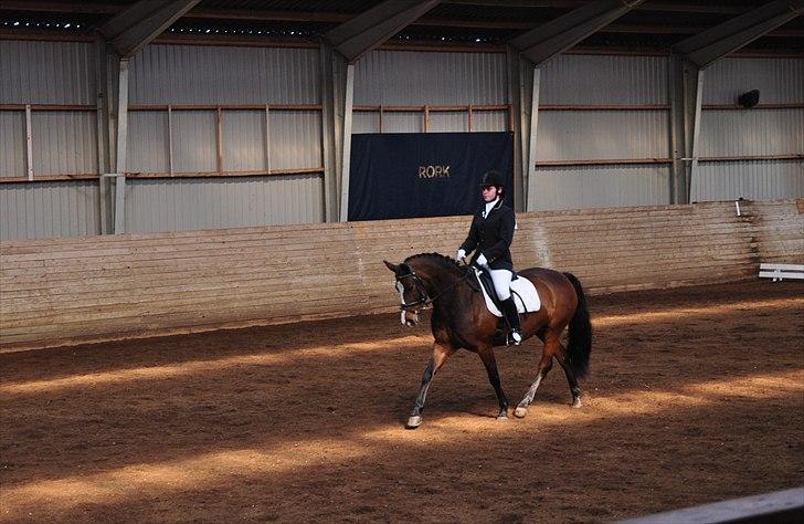 DSP Kelly - Rosenholm stævne d. 30/4-11 - LB1 (foto: Cecilie Nybo) billede 16