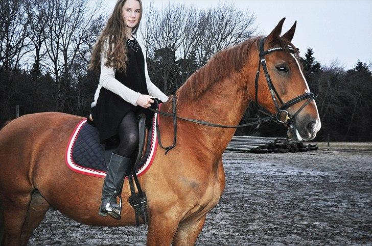 Frederiksborg Mercur - Solgt billede 17