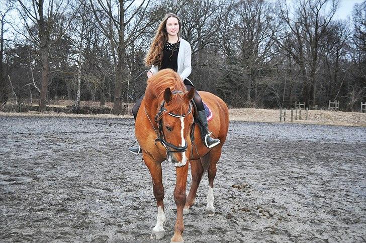 Frederiksborg Mercur - Solgt billede 18