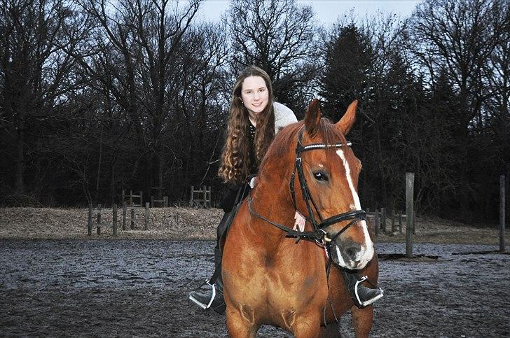 Frederiksborg Mercur - Solgt billede 19