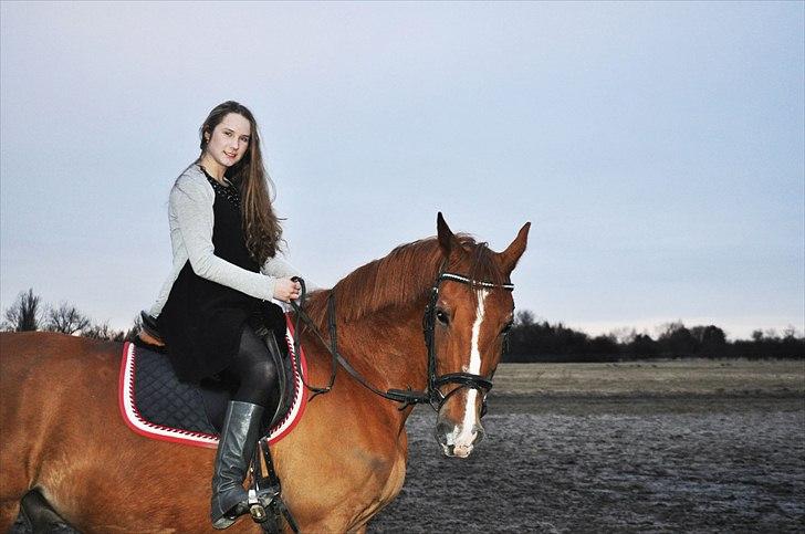 Frederiksborg Mercur - Solgt billede 20