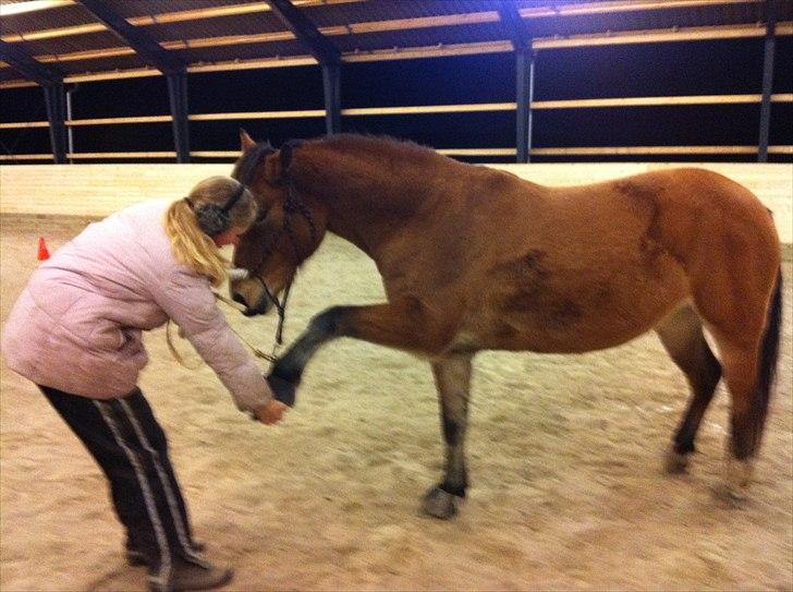 Anden særlig race Rose<3 billede 2