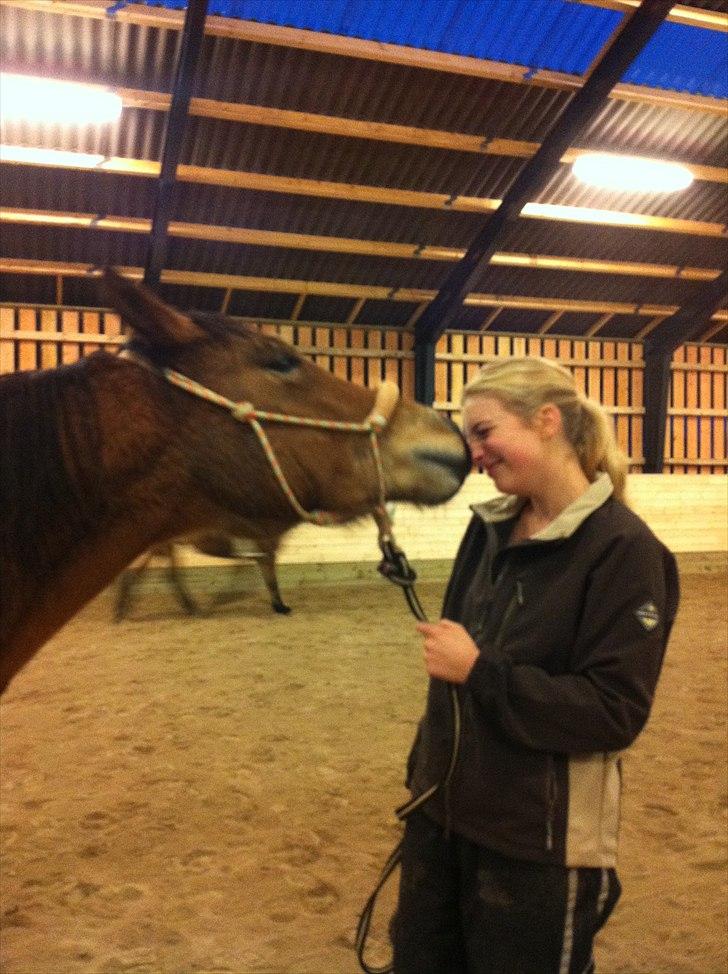 Anden særlig race Rose<3 billede 3