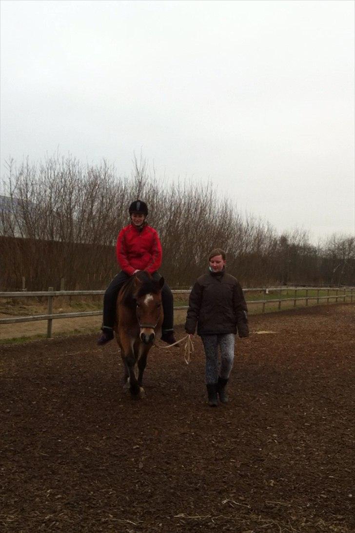 Anden særlig race Rose<3 billede 5