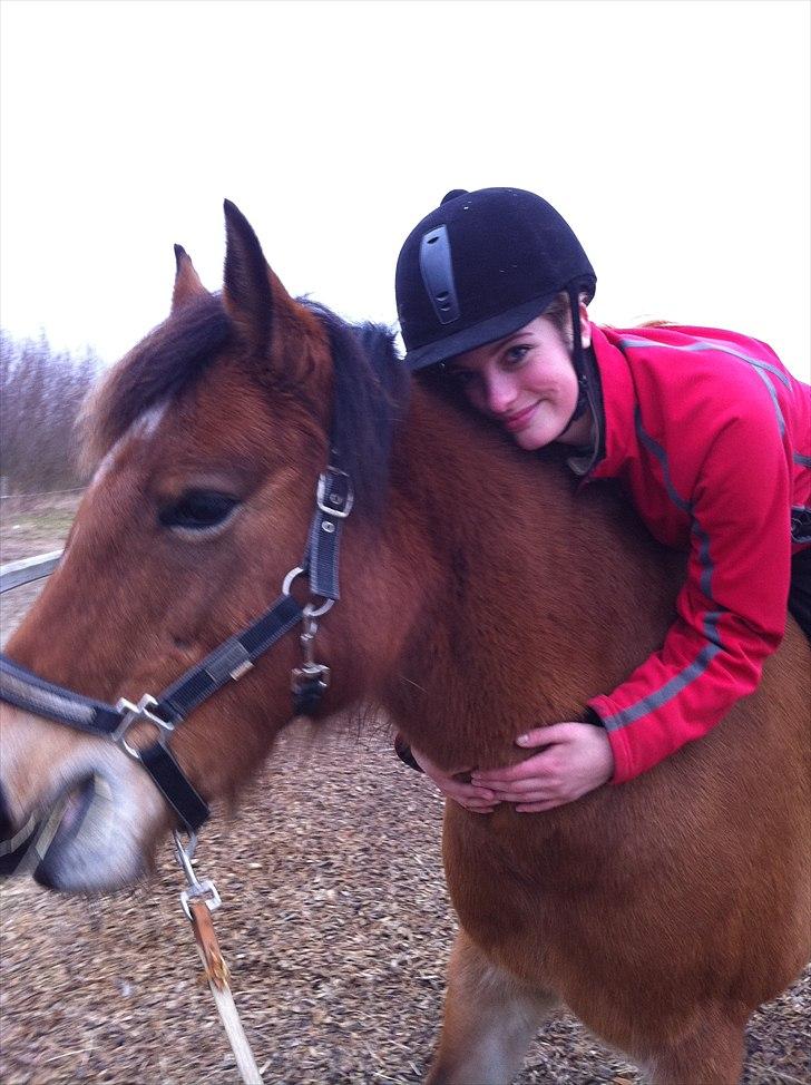 Anden særlig race Rose<3 billede 6