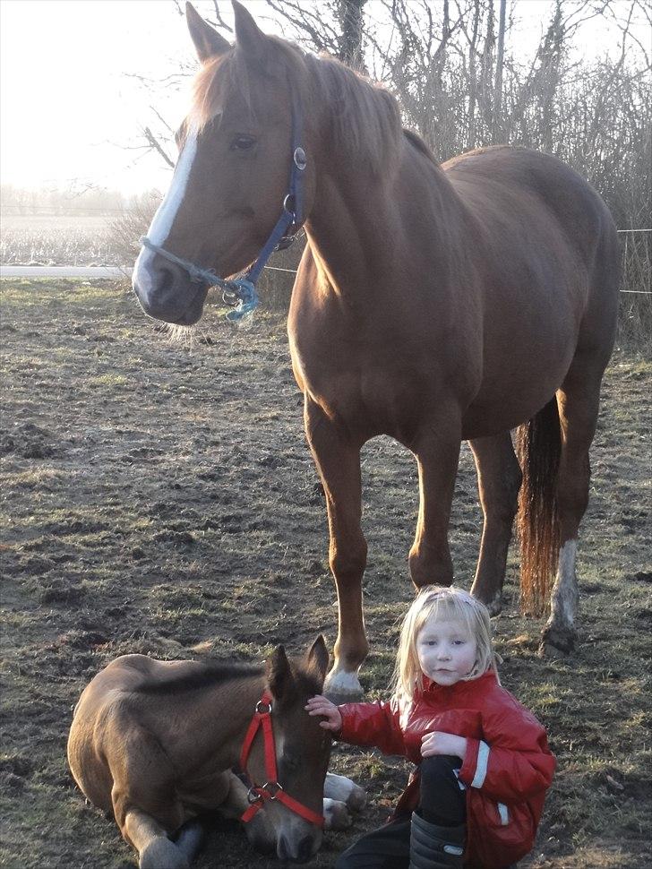 Oldenborg Stald Amour´s Jacuzzi - hygge  billede 10