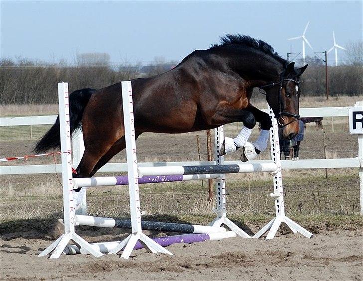 Oldenborg Gerner Kornum - foto.: Jani Pedersen billede 8