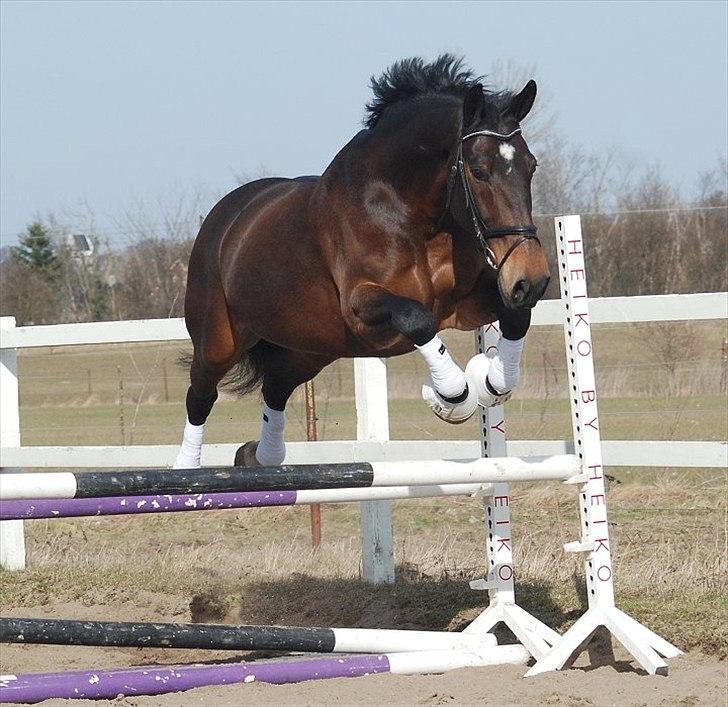 Oldenborg Gerner Kornum - foto.: Jani Pedersen billede 10