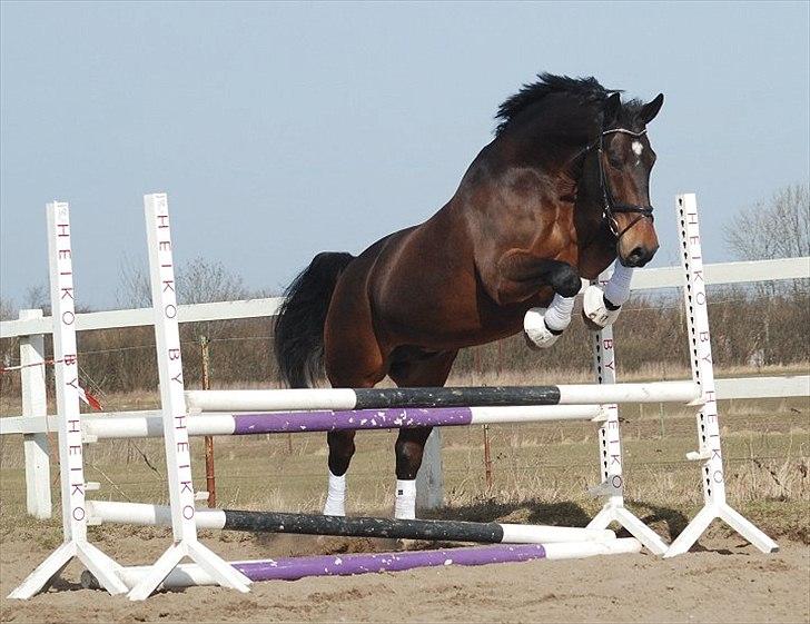 Oldenborg Gerner Kornum - foto.: Jani Pedersen billede 14