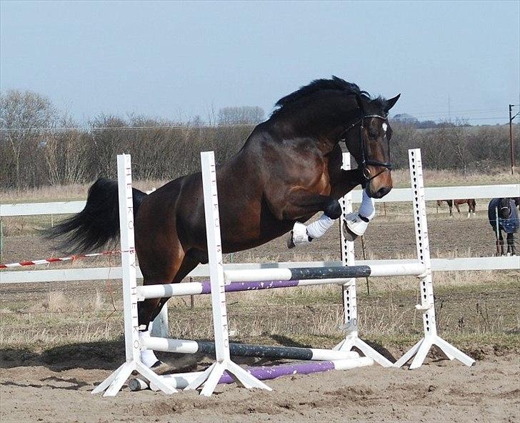 Oldenborg Gerner Kornum - foto.: Jani Pedersen billede 16