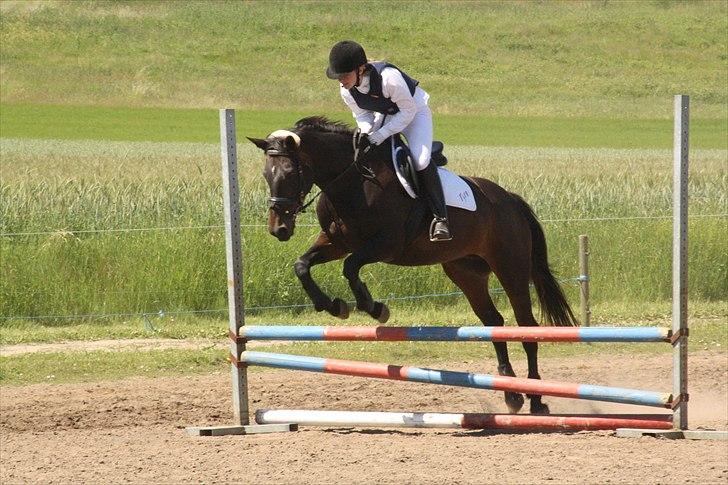 Anden særlig race Tyra - Opvarmning til stævne i Langå! :D - Foto: Line Skou billede 19