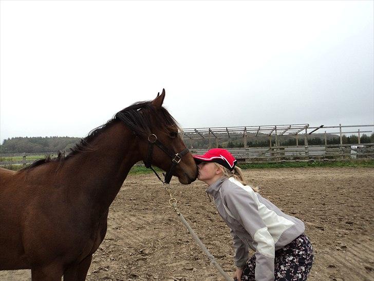 Quarter Peppys Smart Player billede 1