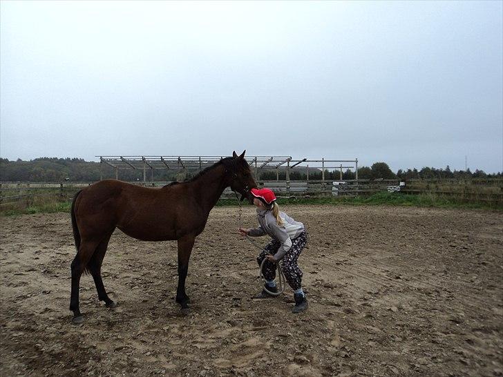 Quarter Peppys Smart Player billede 7