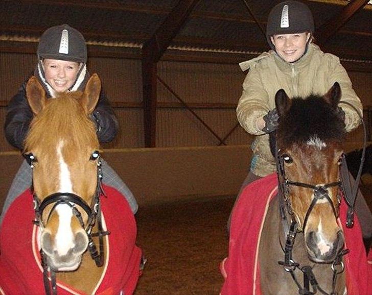 Anden særlig race Painted Beauty SOLGT - ynglings billede! :D billede 1