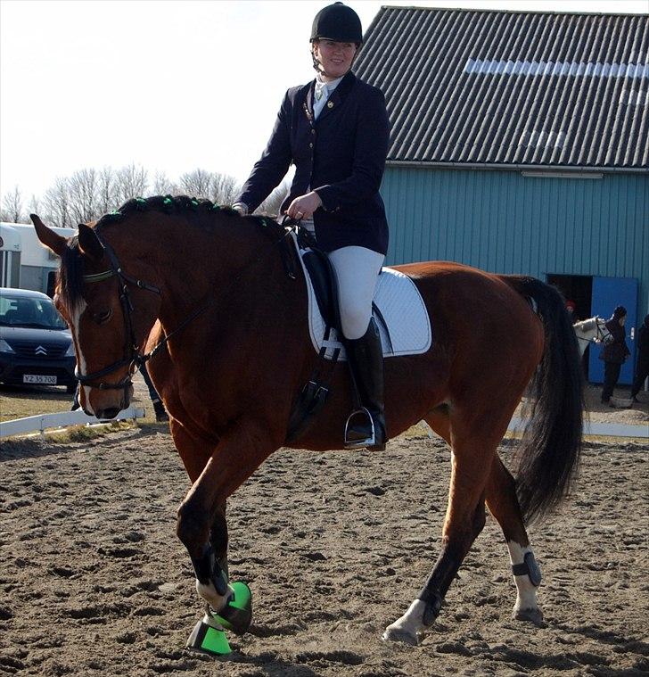 Dansk Varmblod Fight-Light - vores første stævne efter kun 3 uger en bom klasse :) Taget af Ally billede 12