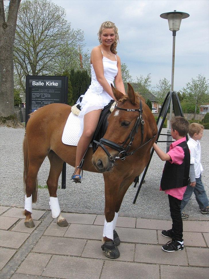 Anden særlig race  † Gaya - Kirstines konfirmation billede 14