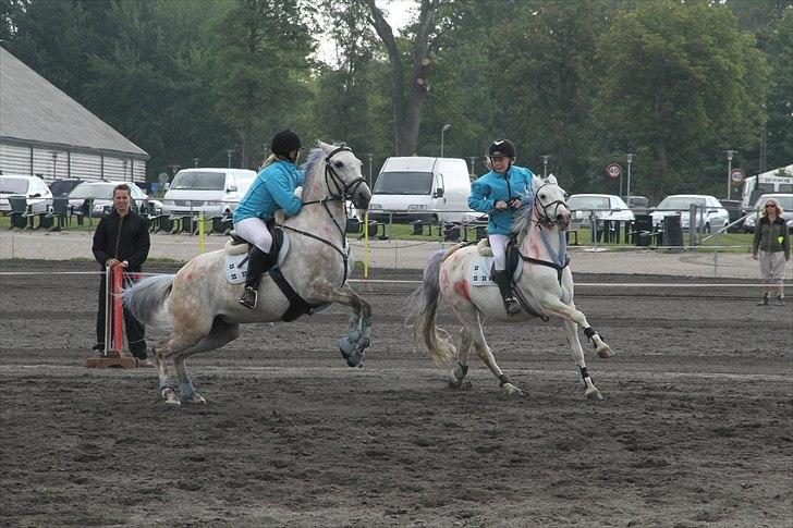 Anden særlig race Huba <3 *STJERNEN* R.I.P <3<3<3 - Landsfinalerne på vilhelmsborg ( DM ) i spring - stafet. blev nummer tre ud af 14 hold :)  billede 12