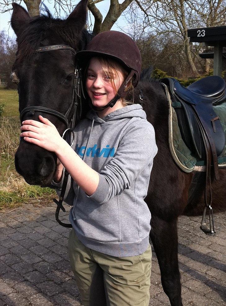 New Forest Kimberly |Prinsesse| billede 9