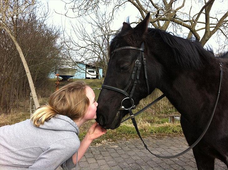 New Forest Kimberly |Prinsesse| billede 10