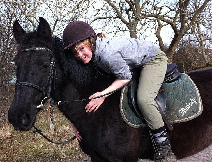 New Forest Kimberly |Prinsesse| billede 13