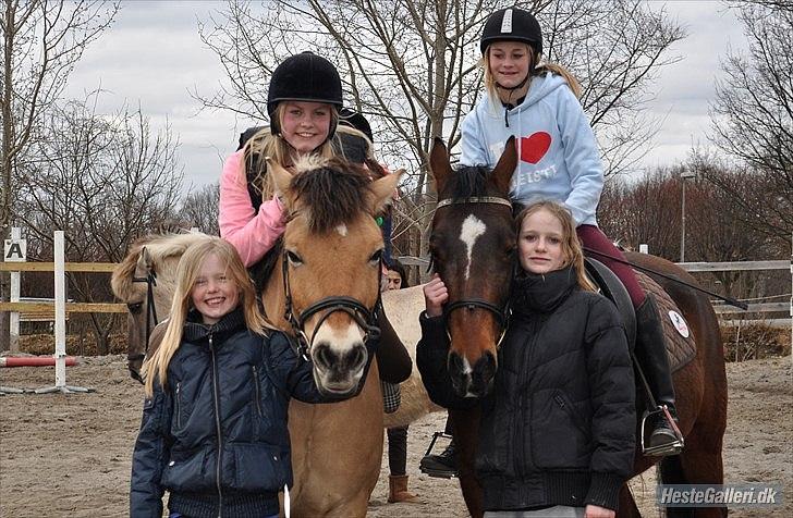 Anden særlig race Tyson billede 5