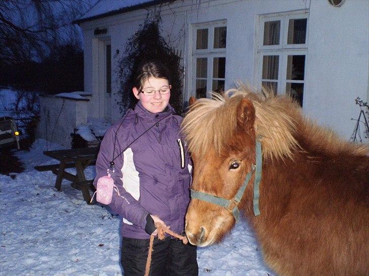 Islænder Hind fra Østrup - Vinter (2011) billede 9