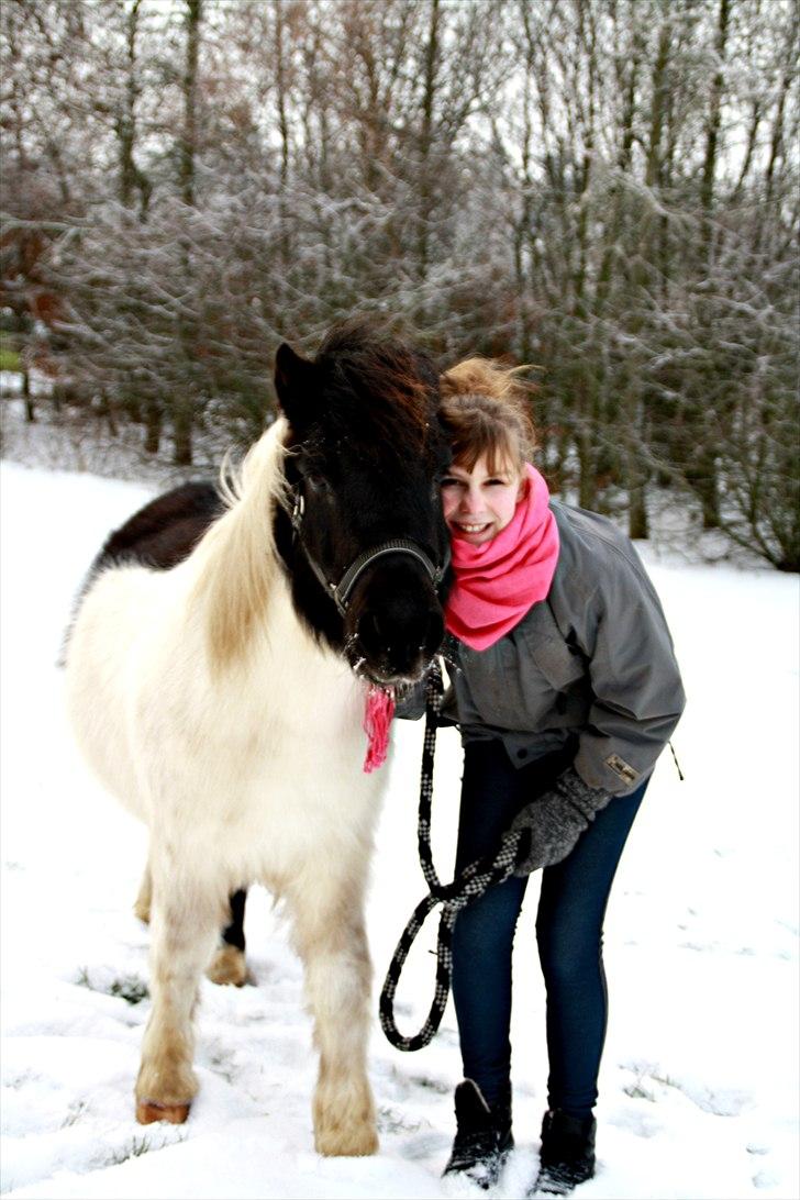 Anden særlig race Søs - Foto: Mathilde (storesøster) billede 5