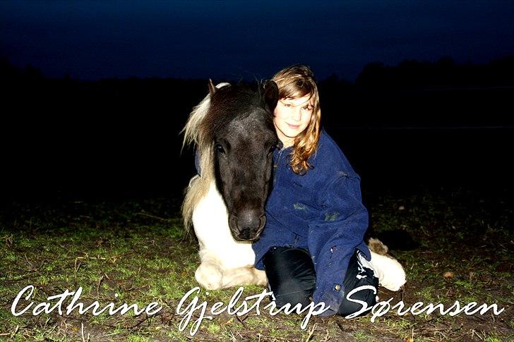 Anden særlig race Søs - Foto: Mathilde (storsøster) billede 8