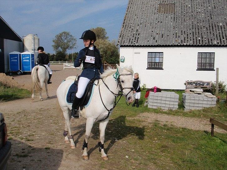 Welsh Pony (sec B) beauty - beauty blev nr. 3 til klubmesterskab 2010 super glad billede 10