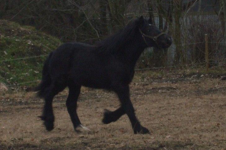 Tinker Fogderups Eithna billede 16