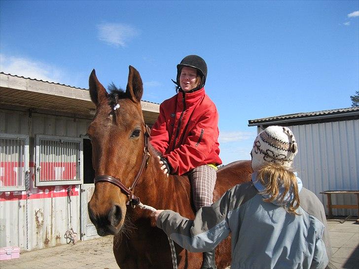 Traver Seeker Hornline *R.I.P* - Findes ikke nået bedre :D en glad hest og rytter <3 billede 16