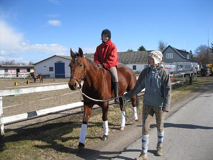 Traver Seeker Hornline *R.I.P* - kommer aldrig nogen sinde til at glemme dig <3 du var en éner  billede 18