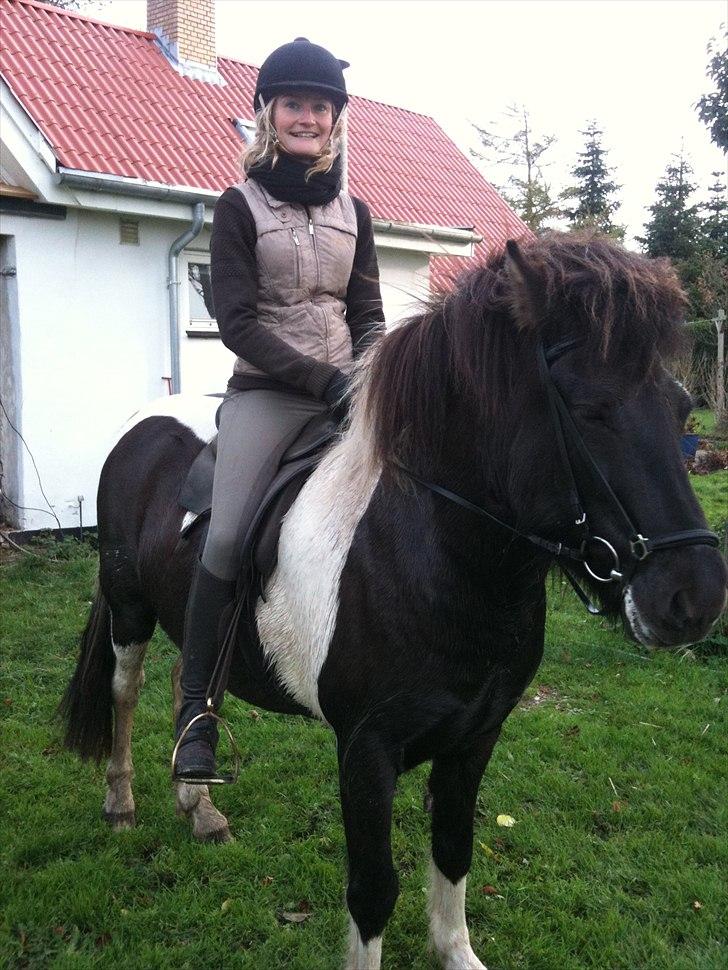 Islænder Bletta fra Arbakki - Her er vi i efteråret - vi er lige begyndt at ride op skovtur efter at Bletta er blevet ryttervandt... billede 6