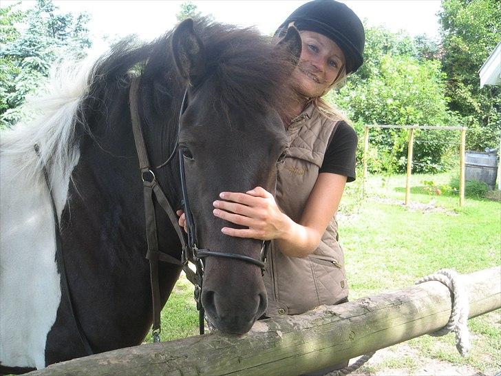Islænder Bletta fra Arbakki - Åårhh...hun er da sød... billede 8