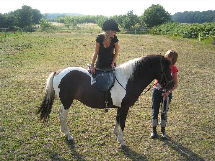 Islænder Bletta fra Arbakki - Og her er jeg ved at stige til hest på smukke Bletta for første gang. billede 10