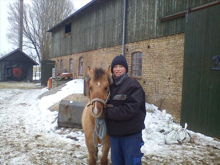 Anden særlig race Picasso billede 2
