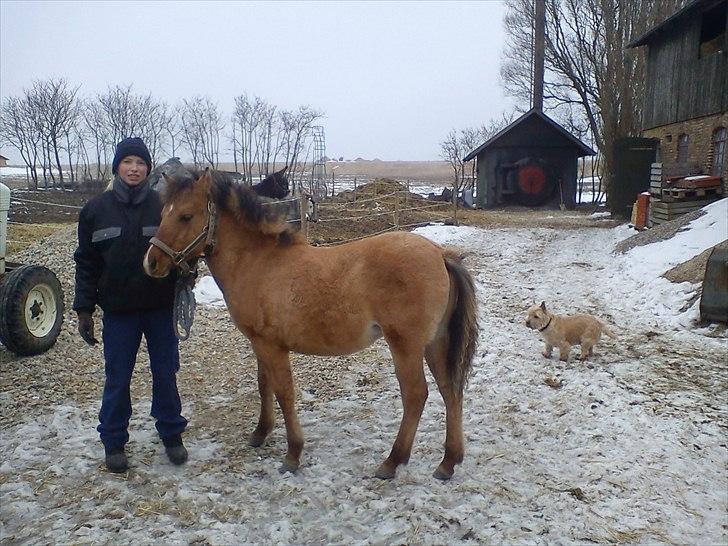 Anden særlig race Picasso billede 3