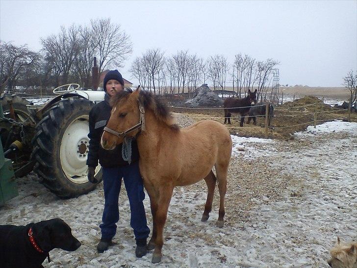 Anden særlig race Picasso billede 4