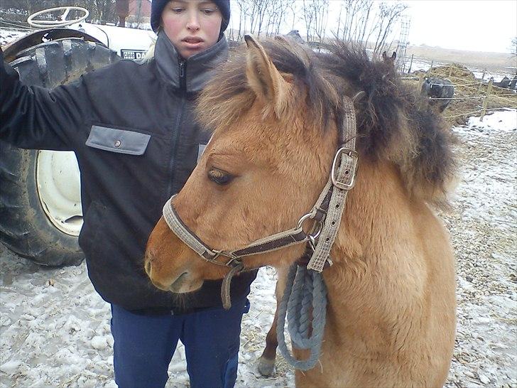 Anden særlig race Picasso billede 5