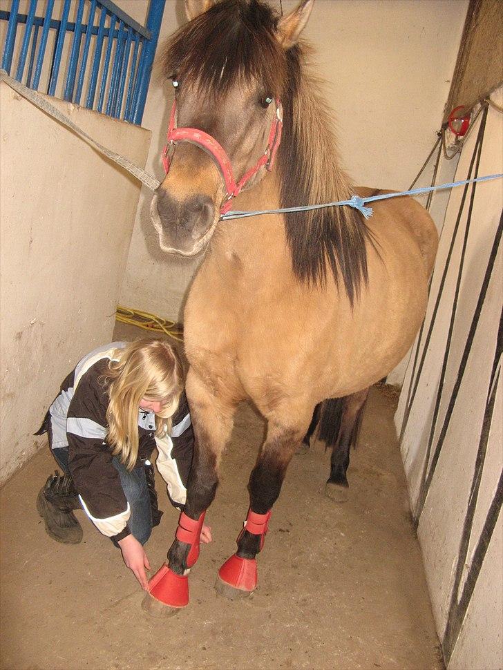 Anden særlig race Bailey <3 - Tænk engang Sparkede hun en når man skulle tage det på :-O<3 |Foto:Mor| billede 13