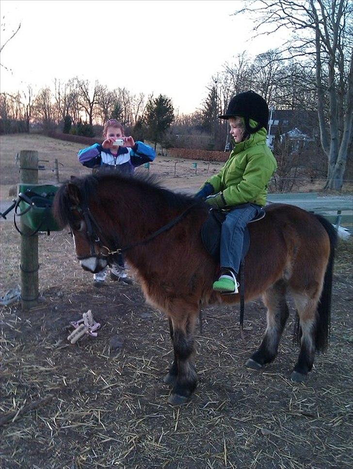 Anden særlig race Sofus billede 8