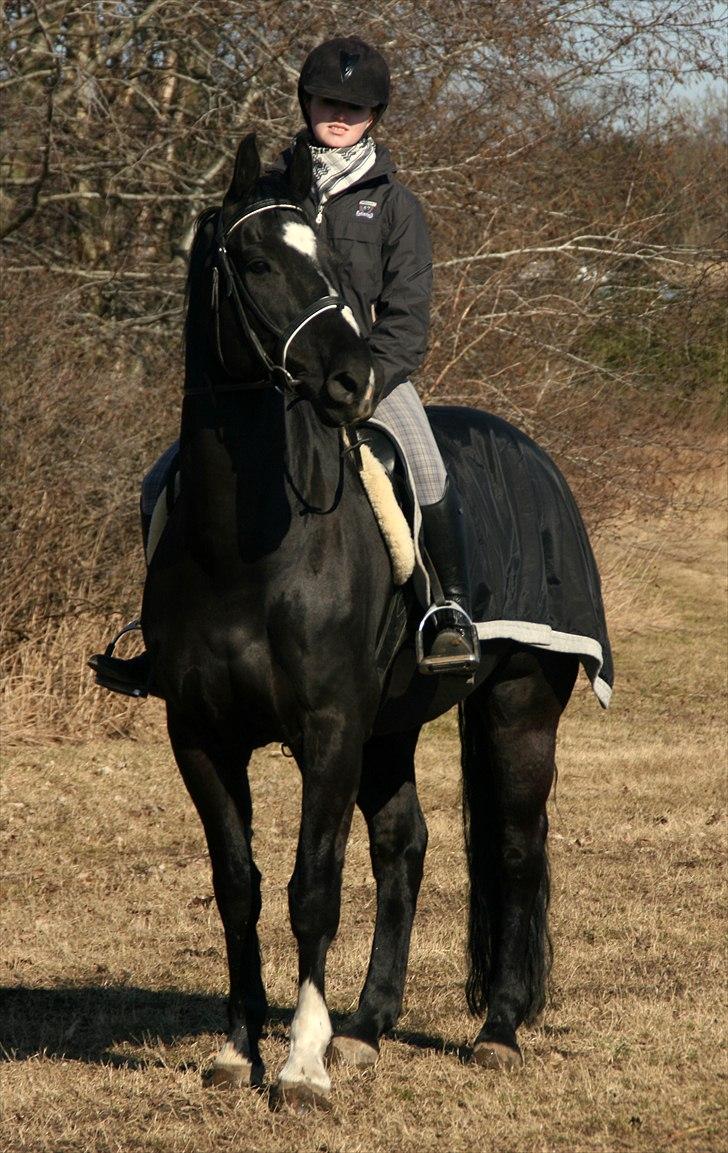 Oldenborg Kirsebærgårdens Mikado - 27. marts 2011 billede 17