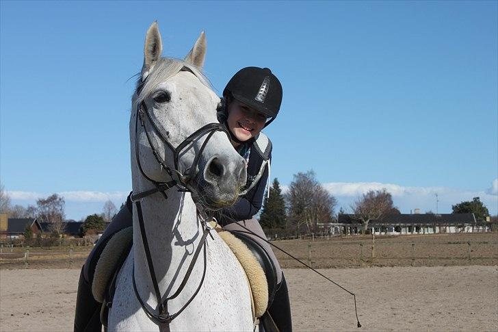 Anden særlig race Sonny Boy - Velkommen til dejlige Sonnys profil! :-) billede 1
