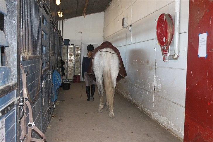 Anden særlig race Sonny Boy - Når enden er god er alting godt!! <3 <3 <3 billede 16